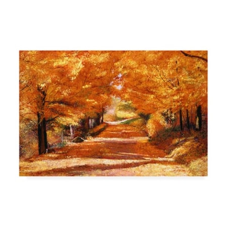 David Lloyd Glover 'The Yellow Leaf Road' Canvas Art,16x24